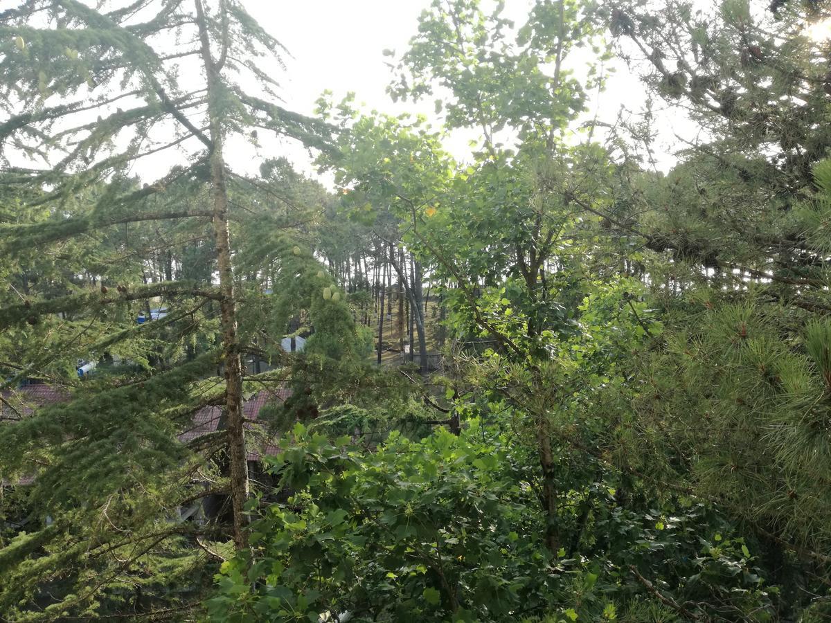 Studio Apartment With Great View Уреки Экстерьер фото